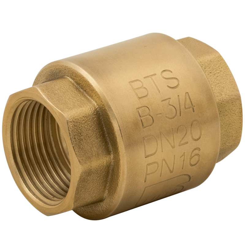 Female check valve